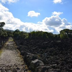 2017-03 New Zealand/Rangitoto/DSC_0121.JPG